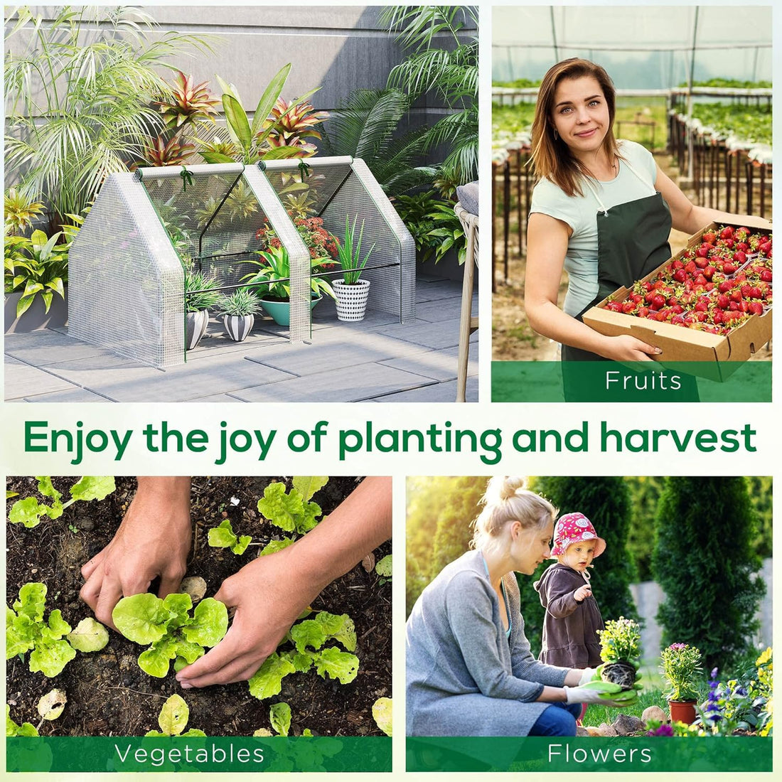 Harvest in 30 Days – Even If You’ve Never Gardened!