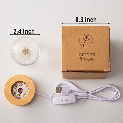 Flower Crystal Ball Night Light,2.4 inch Glass Ball Night Lamp with Woodern Base (Red Daisy)