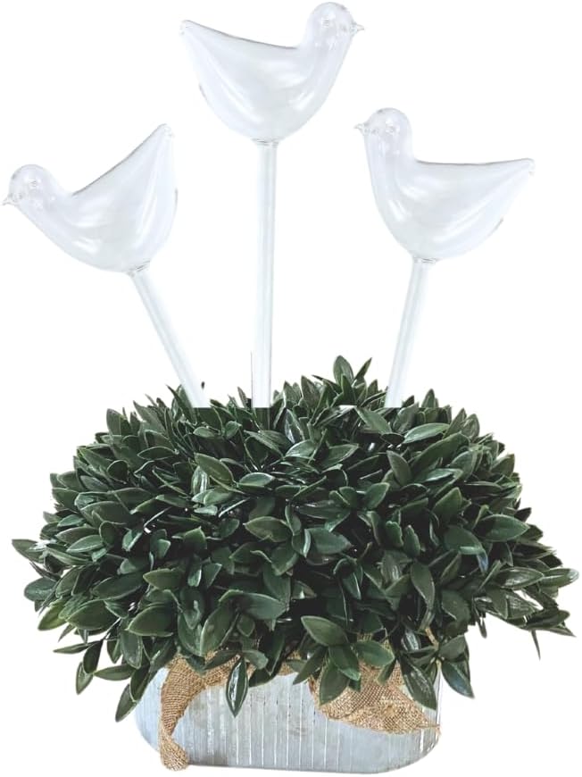 Evelots Plant Self Watering Glass Globes, Bird Shaped Bulbs (4 Pack) Automatic Water Irrigation System for Plants with Funnel, Indoor & Outdoor Use -Extra Long 9.5 Inches
