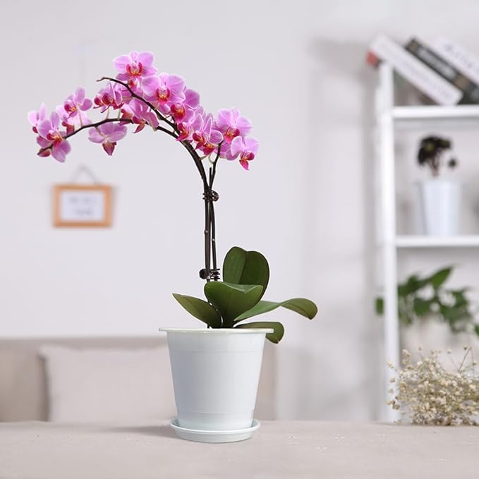 4 inch Clear Orchid Pots with Holes Match White Plastic Orchid Planter,Set of 2,Double Layer Plant Nursery Pots Own Scientific Controlling Roots Technology