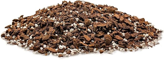 Monstera Borsigiana Planting Mix - Promotes Steady Growth and Vibrant Leaves - 10 Quart (2 Bags of 5 Quart)