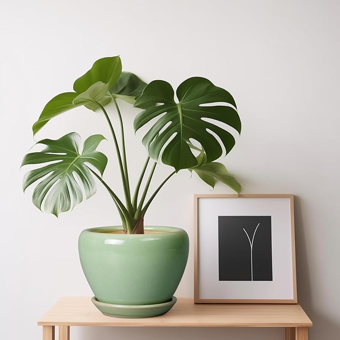 6 Inch Plant Pot - Ceramic Planter for Indoor Plants Round Planter Outdoor Plant Pot with Drainage Hole and Saucer Modern Flower Pot for Succulent Garden Green