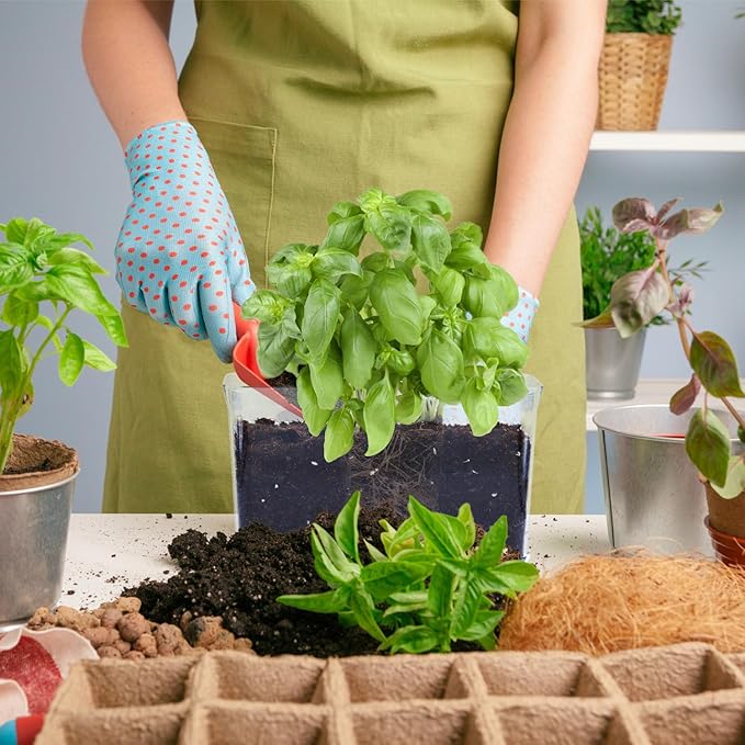 Self Watering Planters for Indoor Plants, 4 Pack Rectangular Clear Plant Pots with Drainage Holes for Spider Plant African Violet, Plant Growth Observations Plant Box for Kids