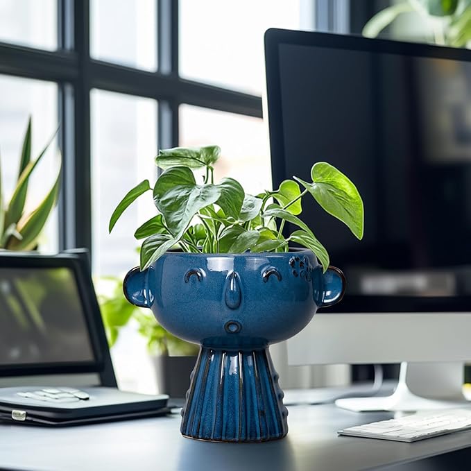 Head Planter Pot - 7 Inch Cute Face Planter for Indoor Outdoor Plants Ceramic Succulent Pot Round Flower Pot Present for Mother Christmas with Drainage Hole Blue
