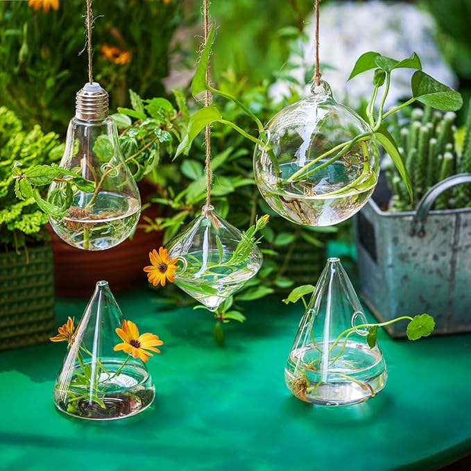Glasseam Hanging Planters Glass Terrarium: 5Pcs Modern Plant Propagation Stations Hydroponic Wall Vases for Air Plants Flowers Indoor Window Home Decor