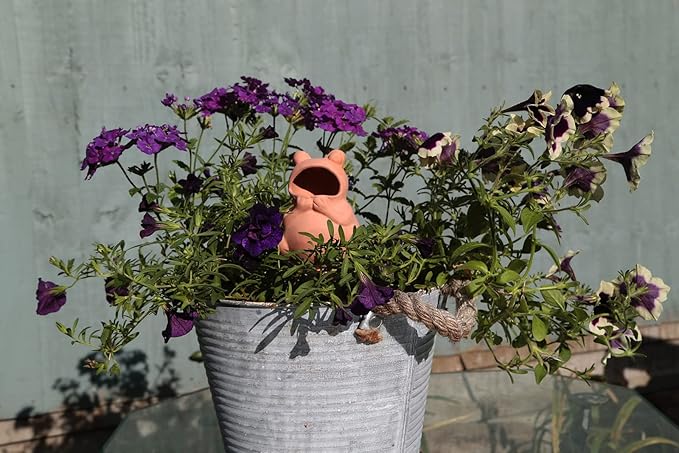 Terracotta Plant Self Watering Spikes - Set of 3 Terracotta Self Watering Bulbs, Self Watering Stakes, Self Watering Globes for Pot Plants (Frogs Plain, Large)