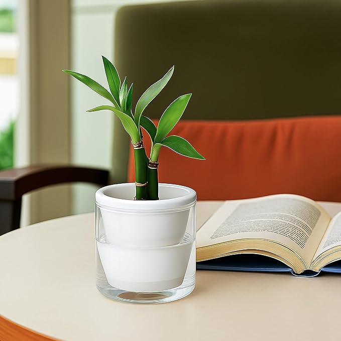 D'vine Dev 4 Inch Design Self Watering Planter for Indoor Plants, White Terracotta Pots with Cylinder Glass Cup, Set of 2, 37-Y-A-2