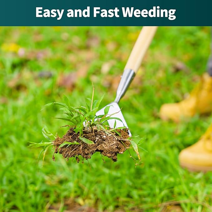 Berry&Bird Dutch Hoe for Weeding,63'' Stainless Steel Garden Weed Hoe with Long Wooden Handle,Heavy Duty Scuffle Hoe Manual Weeder Tool for Gardening Moss Removal Cutting Grass Soil Loosening & Edging