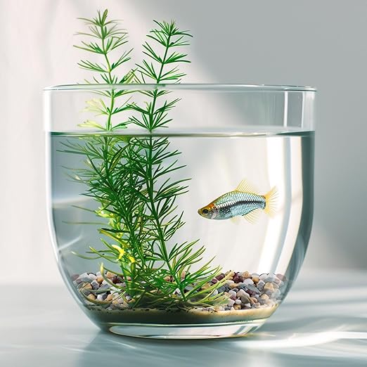 2.5 lbs Pea Gravel for Plants, Aquarium, Fish Tank, 3/8 inch Decorative Pebbles for Indoor Plants, Succulent, Bamboo, Vase, Drainage Rocks for Potted Plants, Top Dressing, Mixed Color