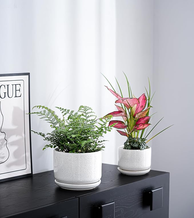 Ton Sin Plant Pots, 4.1+5.1+6.5 inch, Set of 3, Ceramic Planters with Drainage Hole and Saucer, Indoor Flower Pot with Hole Mesh Pad, Gifts for Mom(Reactive Glaze White)