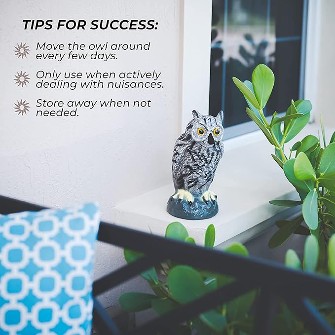 Galashield Owl Decoy | Plastic Owls to Scare Birds Away | Owl Statue for Garden & Outdoors - Pack of 3