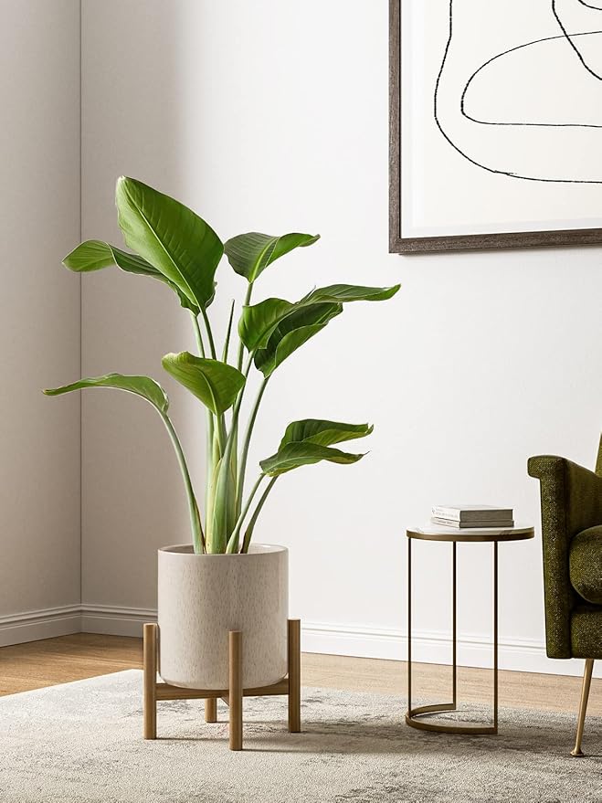 LE TAUCI Ceramic Plant Pots Indoor, 10+8+6 Inch Planters for Indoor Plants, Mid-Century Modern Flower Pots with Drainage Hole and Plug, Cylinder Round Planters, Set of 3, Reactive Glaze Beige