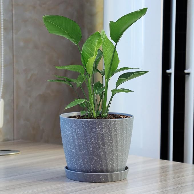 6 Inch Plant Pots Bulk, 6 Pack Plastic Planters with Drainage Holes and Saucers for Indoor Outdoor House Plants and Flowers, Grey Spots