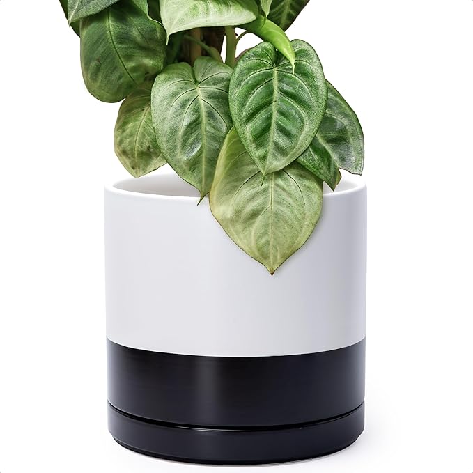 D'vine Dev 12 Inch Ceramic Planter Pot with Drainage Hole and Saucer, Indoor Cylinder Round Planter Pot, Layered Monochrome Black & White, 94-O-F-L