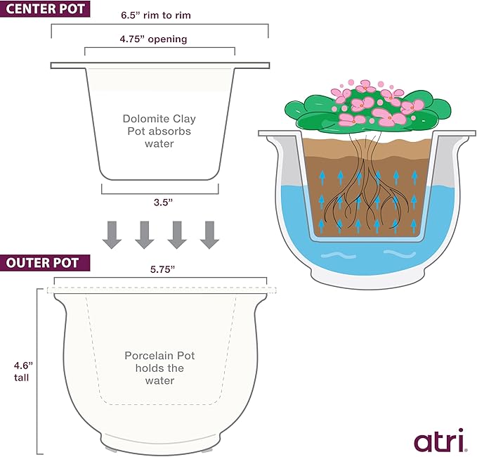 African Violet Pots Ceramic 6.5”W x 4.6”H Self Watering Planter for Indoor Flowers and Plants – White Glazed Outer Plant Pot with Highly Absorbent Inner Planter Pot for Tropical Plants