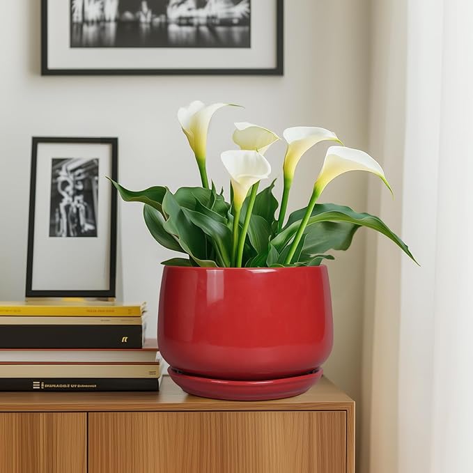 G EPGardening Ceramic Plant Pots - 9 Inch Flower pots for Indoor Outdoor Plant, Round Planter with Drainage and Saucer, Modern Home Decor, Gift for Women Men, Red