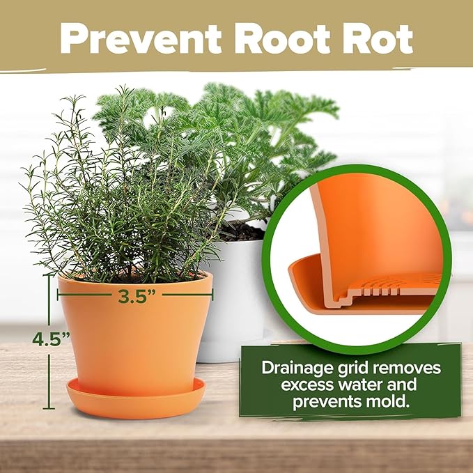 HOME GROWN π£π₯ππ ππ¨π πππ₯π πππ§ 8 Herb Seeds Garden Kit, Complete Indoor Planter Gift with Basil Cilantro Mint & More, Unique Kitchen Growing Set for Women Men, Birthday Housewarming Present