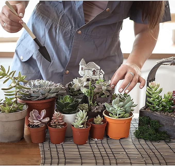 Wishlotus Mini Gardening Tools, 3Pcs Gardening Hand Tools with Non-Slip Handles, Portable Tools Set for Indoor Gardening, Succulents, Bonsai, Gift for Wife and Mother(Thin)