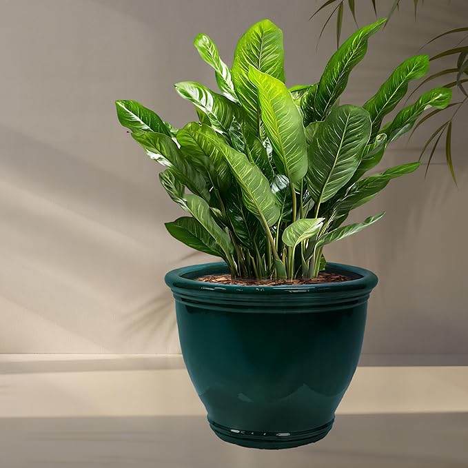 Sunnydaze Studio Large Ceramic Plant Pot - Round Outdoor Glazed Ceramic Planter Pot with Drainage - Dark Green - 18.5 in