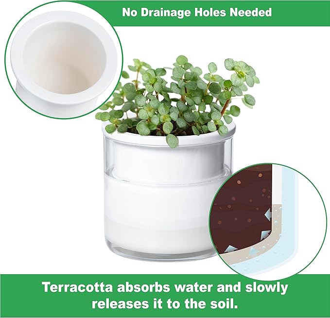 Phoenix Vine 4 Inch Self Watering Planter Pot, Design White Terracotta Pots for Plants, Indoor Cylinder Terra Cotta Pots with Glass Vase, Set of 4, 51-B-E-4