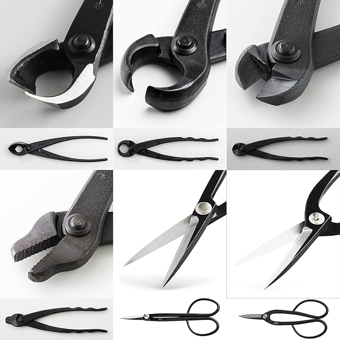Wazakura Japanese 6PCS Bonsai Scissors and Branch Cutter Tool Kit with Roll Bag: Japanese Yasugi Steel Ashinaga and Twig Bonsai Scissors, Concave Branch Cutter, Knob Cutter, Jin Plier, Wire Cutter