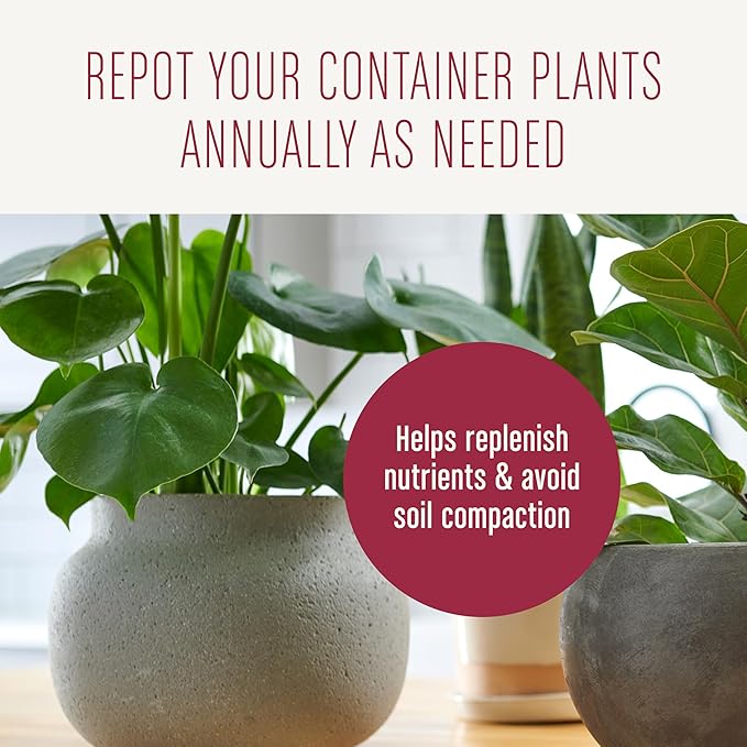 Miracle-Gro Houseplant Potting Mix, for Indoor Container Plants, Feeds for up to Six Months, 4 qt. (3-Pack)