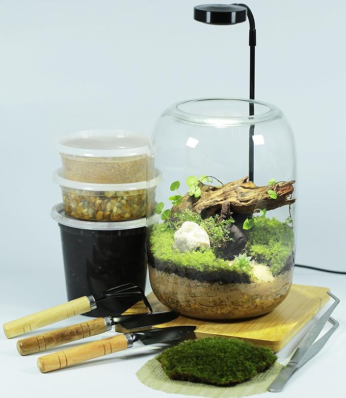 Terrarium Kit/Supplies Terrarium Plants Set with Grow Light, for Succulents Miniature Gardening, Include Terrarium jar Tool Set Live Moss Rocks Soil Driftwood and Decor, for Plant Lovers