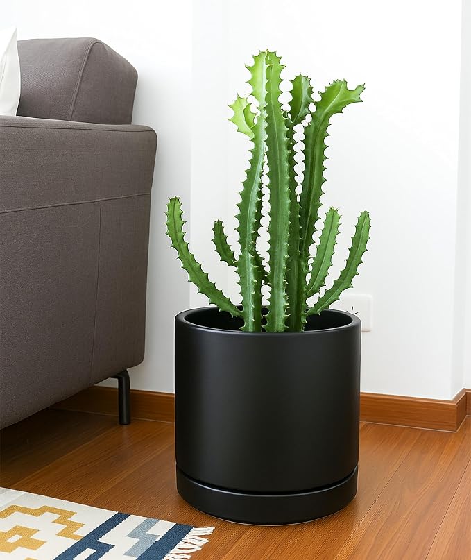 D'vine Dev 10 Inch Ceramic Planter Pot with Drainage Hole and Saucer, Indoor Cylinder Round Planter Pot, Black, 94-O-E-2