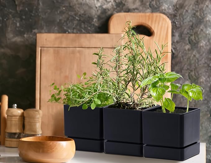 4 Inch Herb Planter Pot, Plastic Planter with Drainage Holes and Saucer, Modern Decorative Gardening Pot for Indoor Plants, Flowers, Herbs, Succulents, Black, Set of 6, 76-Y-B-6
