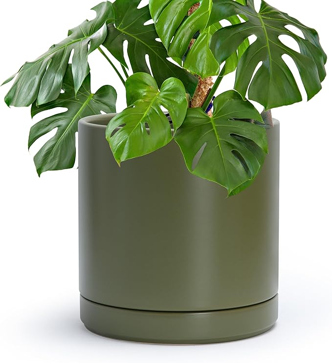 D'vine Dev 10 Inch Ceramic Planter Pot with Drainage Hole and Saucer, Indoor Cylinder Round Planter Pot, Olive, 94-O-E-J