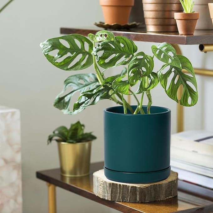 D'vine Dev 6 Inch & 8 Inch Ceramic Planter Pots for Plants with Drainage Hole and Saucer, Medium Plant Pots Set, Teal, 94-G-M-9