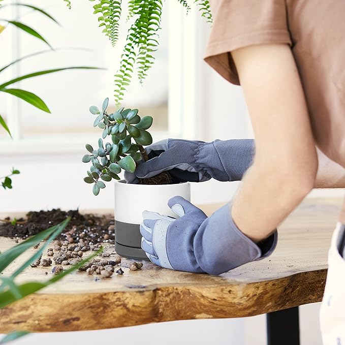 D'vine Dev Ceramic Planter Pot with Drainage Hole and Saucer, Indoor Cylinder Round Flower Pot, 4.6 Inch, White/Speckled Grey, 94-O-B-6