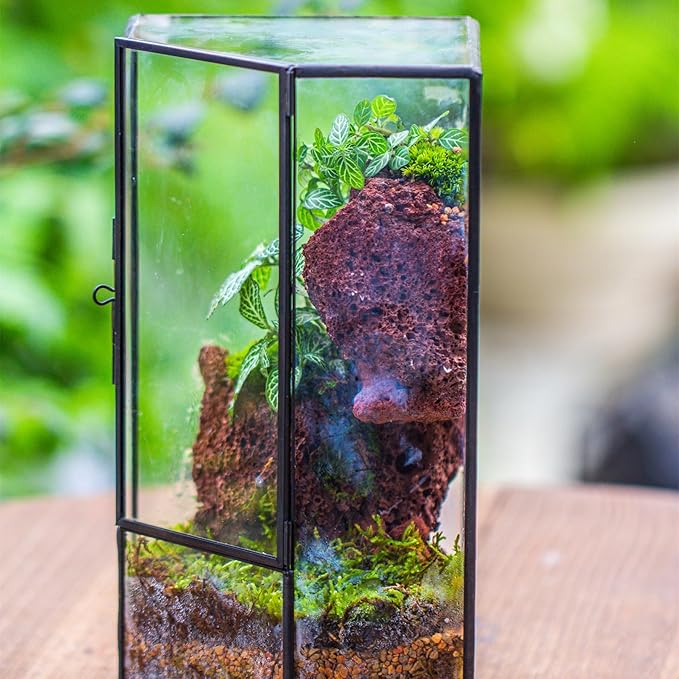 NCYP Front Opening Glass Terrarium with Door for Succulents, Small Plants - Closed Geometric Container Planter, Indoor Tabletop Wall Corner Landscape Decor, Black, 5" x 5" x 9.8" (Terrarium Only)