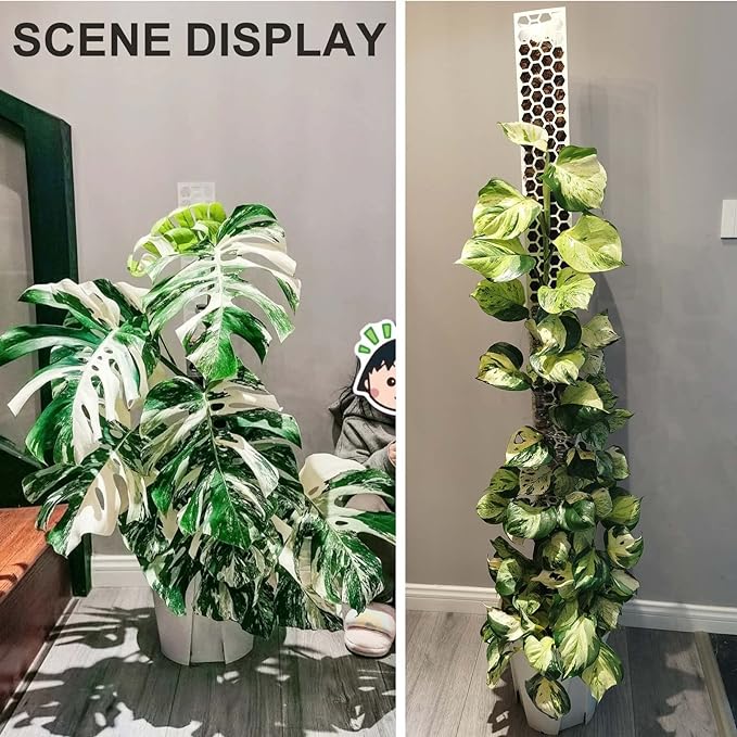 4 Pcs 17 Inch Plastic Moss Pole for Plants Monstera, Stackable Plant Support for Indoor Climbing Plants, Clear Plant Poles with 2pcs Garden Ties Work with Sphagnum Moss