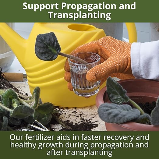 3-1-2 African Violet Fertilizer for Indoor Plants: Liquid Fertilizer with Essential Micronutrients Drops - Plant Food for African Violets (16 OZ)