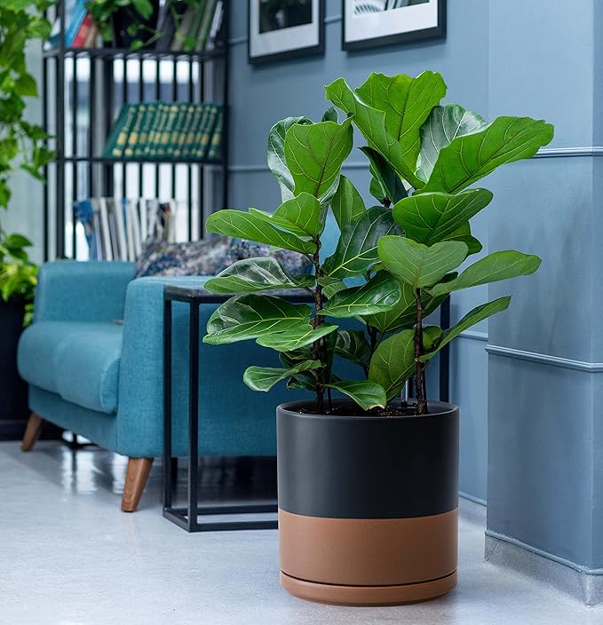 D'vine Dev 8 Inch & 10 Inch Ceramic Planter Pot for Plants with Drainage Hole and Saucer, Large Plant Pots Set, Black/Speckled Tan, 94-G-L-7