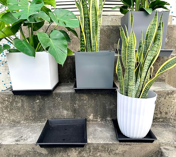 Square Plant Saucer 5 Pack 8 10 12 14 16 18 20 Inch, Flower Pot No Holes Plant Drip Trays, Plant Trays for Pots Heavy Duty Plastic Plant Saucers for Indoors Outdoors