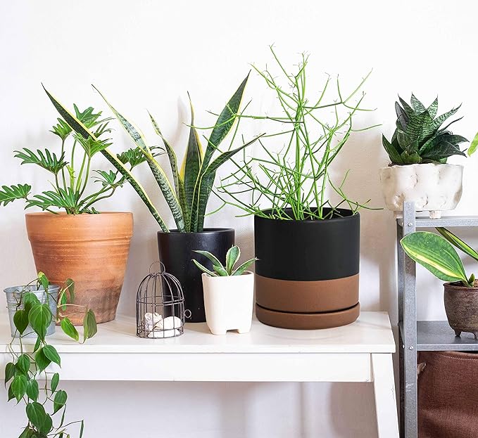 D'vine Dev Set of 2 Plants Pots, 6 Inch Ceramic Planter Pot for Plants with Drainage Hole and Saucer, Black/Speckled Tan, 94-V-C-7