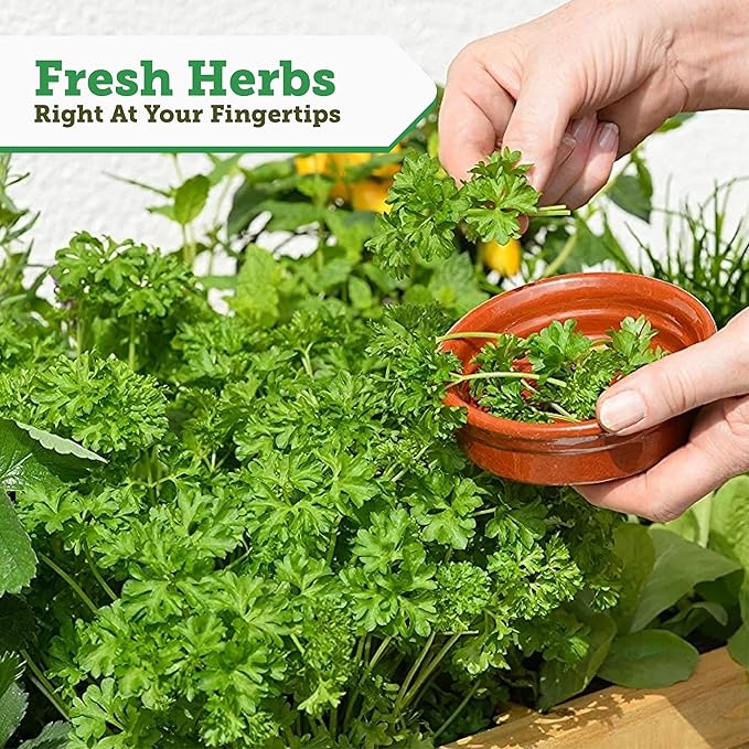 VegTrug 8 Pocket Herb Garden