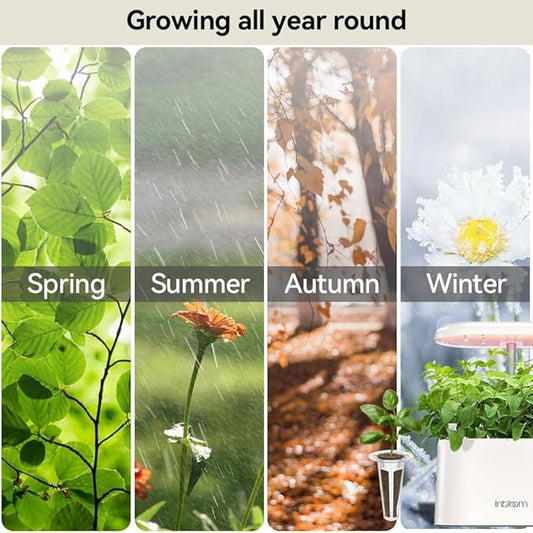 Roots in Fall, Light in Winter — A Seasonal Plant Care Guide