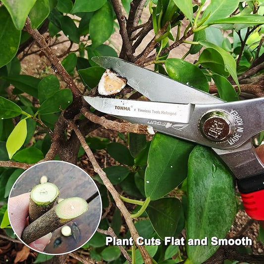 Fall Garden Cleanup Checklist: 7 Must-Have Tools Before First Frost