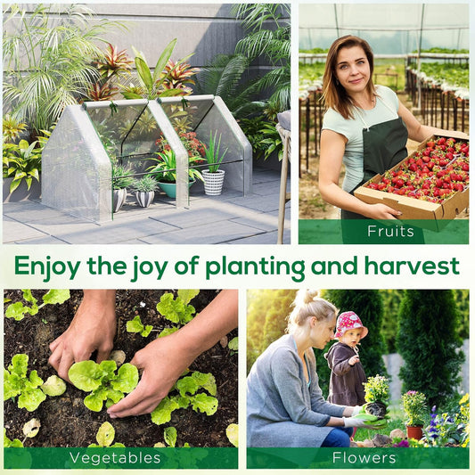 Harvest in 30 Days – Even If You’ve Never Gardened!