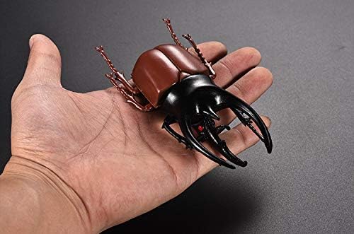 Hiawbon 5.5 inch Fake Beetle Simulated Beetle Model Realistic Plastic Beetle Figures for Fairy Garden Decoration, Set of 6