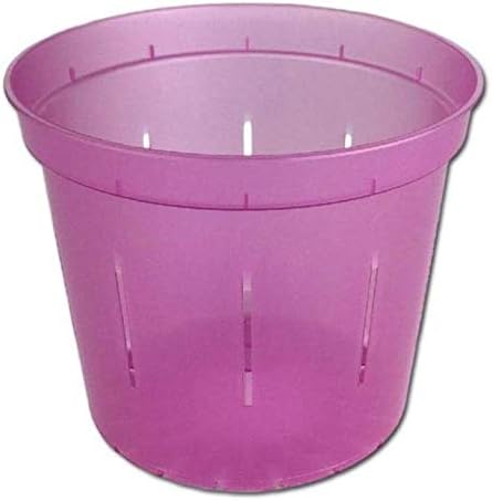 rePotme 6" Slotted Clear Orchid Pots 3 Pack (Rose Quartz)