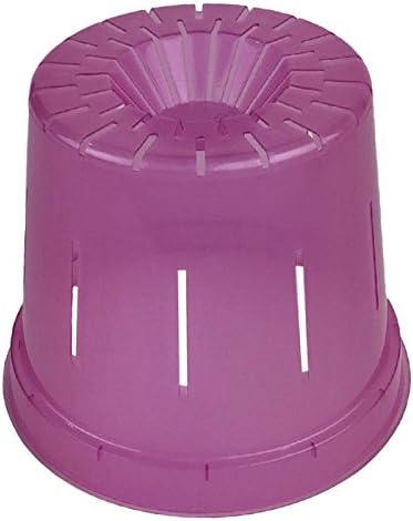 rePotme 6" Slotted Clear Orchid Pots 3 Pack (Rose Quartz)