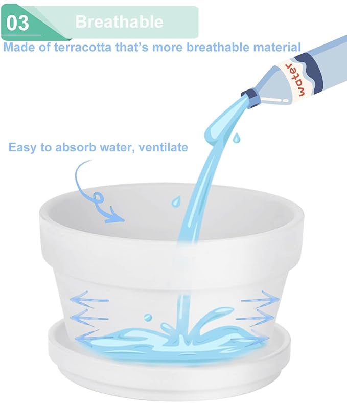 vensovo 5.7 Inch White Terracotta Shallow Succulent Pots - 6 Pack Terra Cotta Clay Pot with Saucer, Cacuts Indoor and Outdoor Planters with Drainage Hole