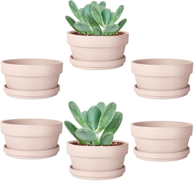 vensovo 3.7 Inch Pink Terracotta Shallow Succulent Pots - 6 Pack Terra Cotta Clay Pot with Saucer, Cacuts Indoor and Outdoor Planters with Drainage Hole