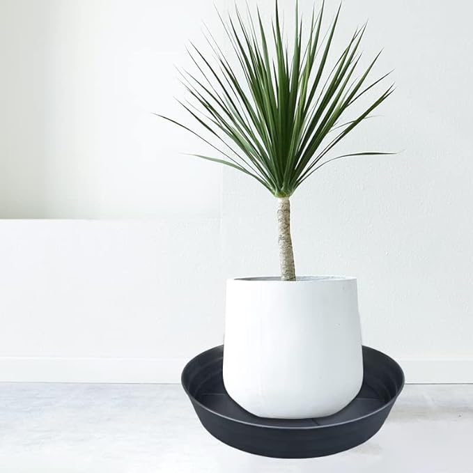 Plant Saucer 18 Inch, Extra Large Planter Saucer 4 Pack, Plastic Plant Saucers for Indoors and Outdoors, Plant Pot Saucers, Drainage Tray for 16, 17, 18 in Planters