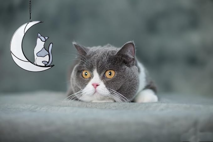 Gray and White Cat Memorial Gifts Loss of Cat British Shorthair Stained Glass Cat Suncatcher Cat Died Sympathy Gifts for Cat Lovers Cat Loss Sympathy Gift