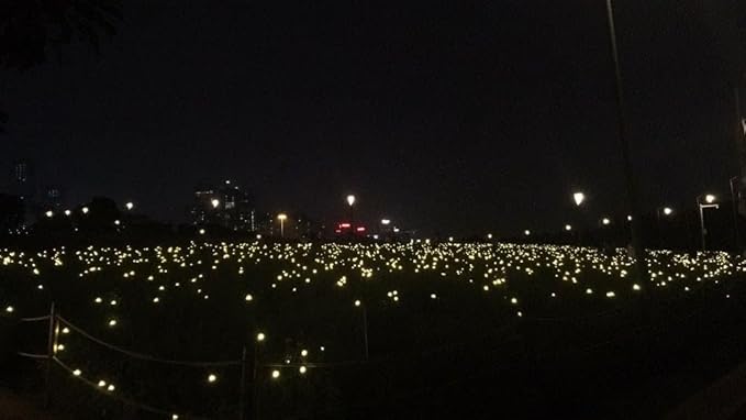 Firefly Garden Lights Solar Outdoor - 80 LED Solar Firefly Lights Outdoor Waterproof, Yard Patio Decoration Solar Powered Firefly Lights, Warm White 10PCS